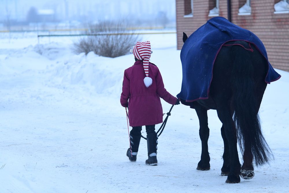 Фотография автора Алексей Volg