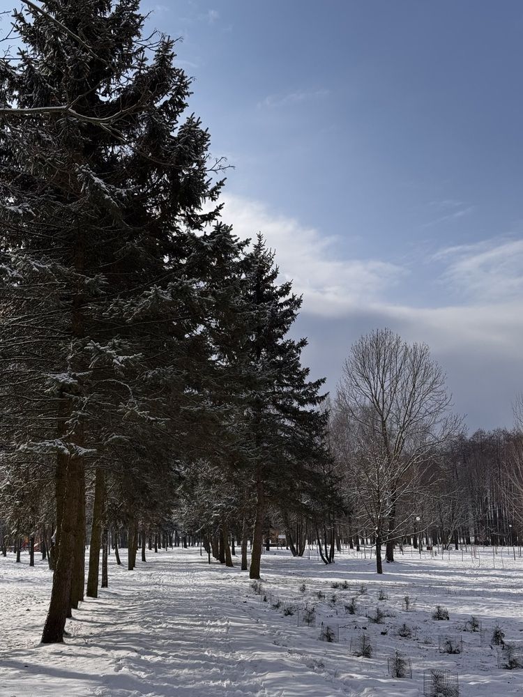 Фотография автора Жанна Колесникова