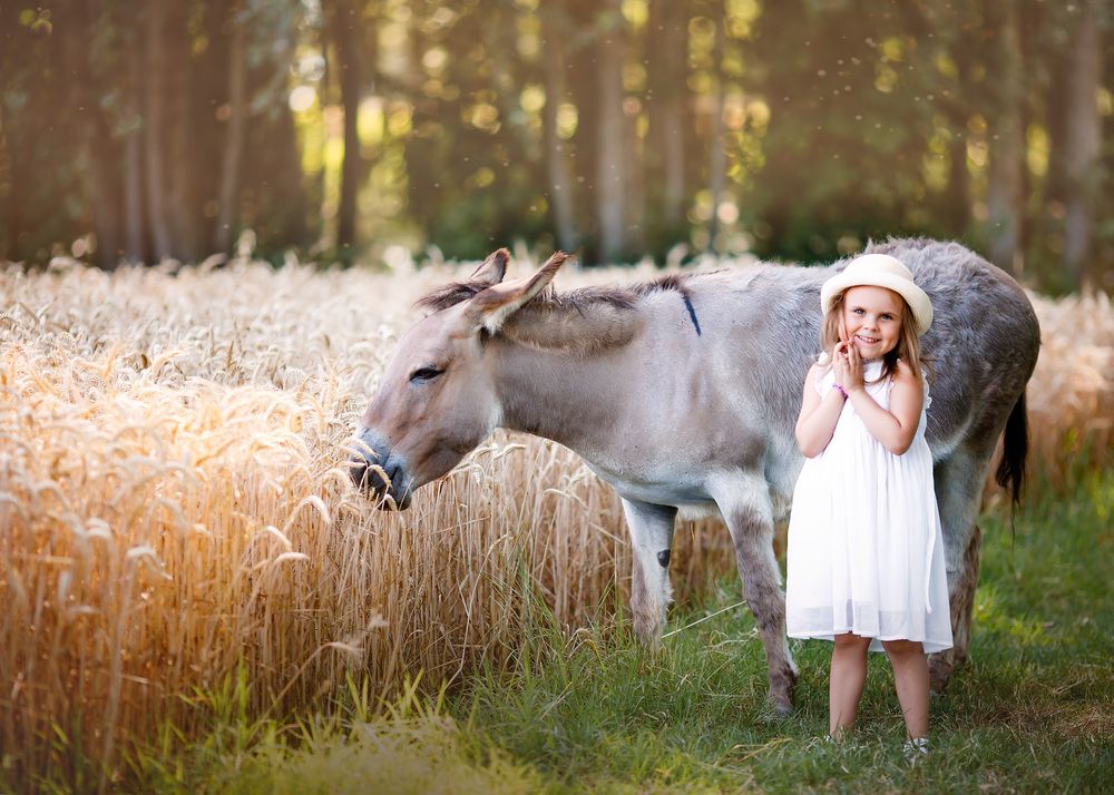 Photograph by Марина Ермолаева