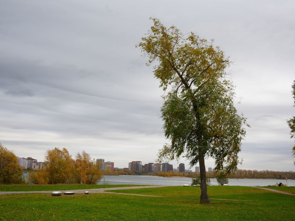 Фотография автора Максим Грибанов