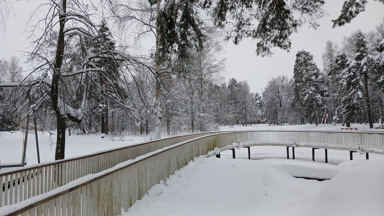 Photo #13062361