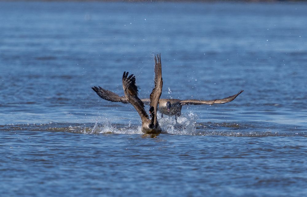 Photograph by Nitin Baste