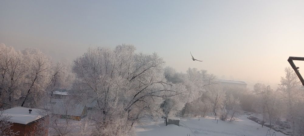 Photo #13062380