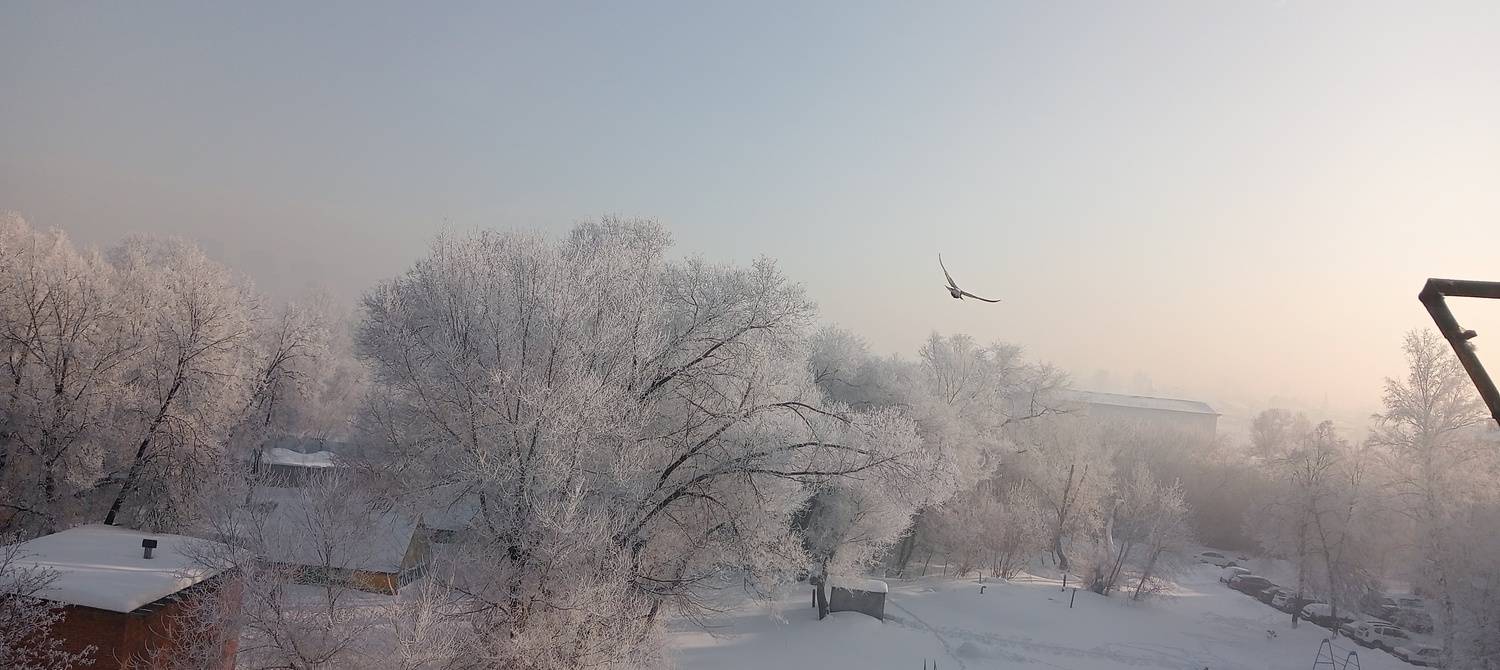 Photo #13062380
