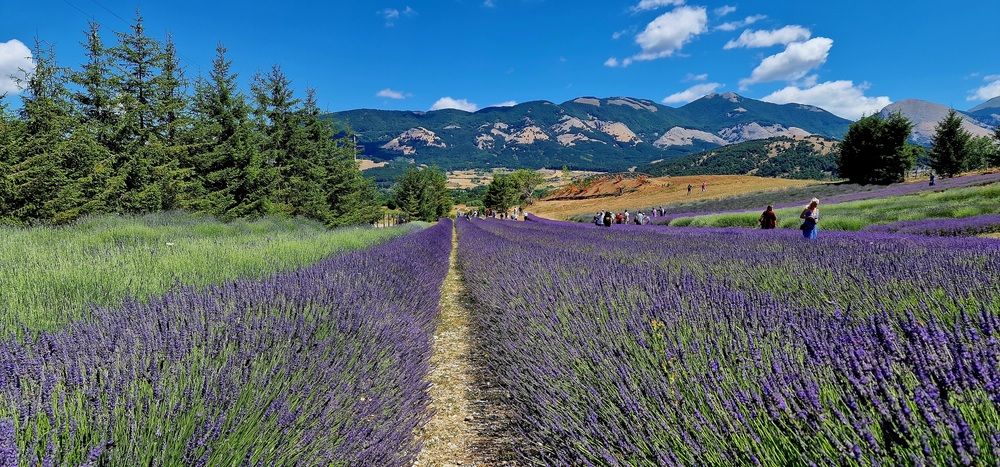 Photograph by Nadzeya