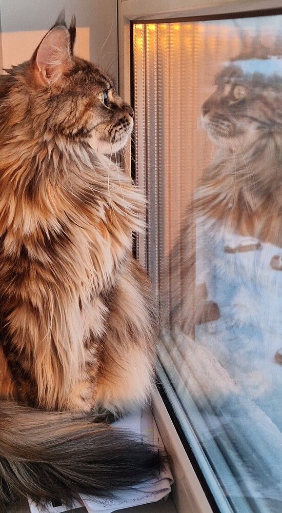 Photograph by Татьяна Поздеева