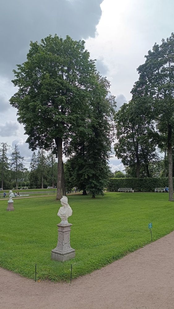 Фотография автора Светлана Анатольевна Чернышова