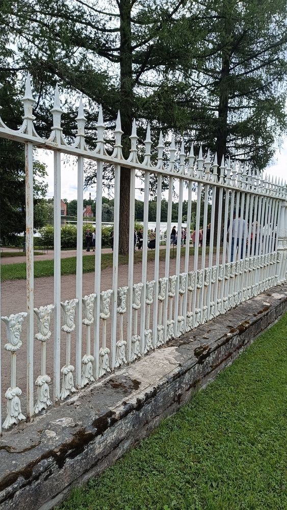 Фотография автора Светлана Анатольевна Чернышова