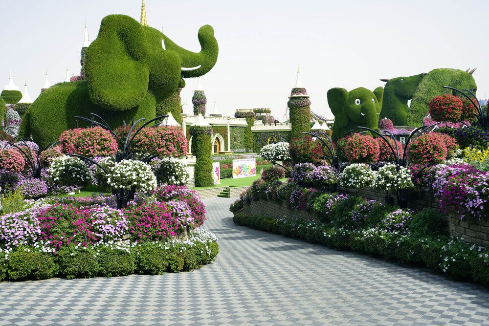 Photograph by Raed Victor Saad