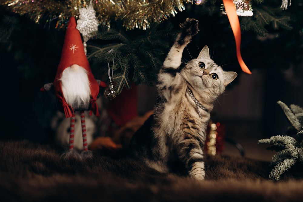 Photograph by Миля Сухарева