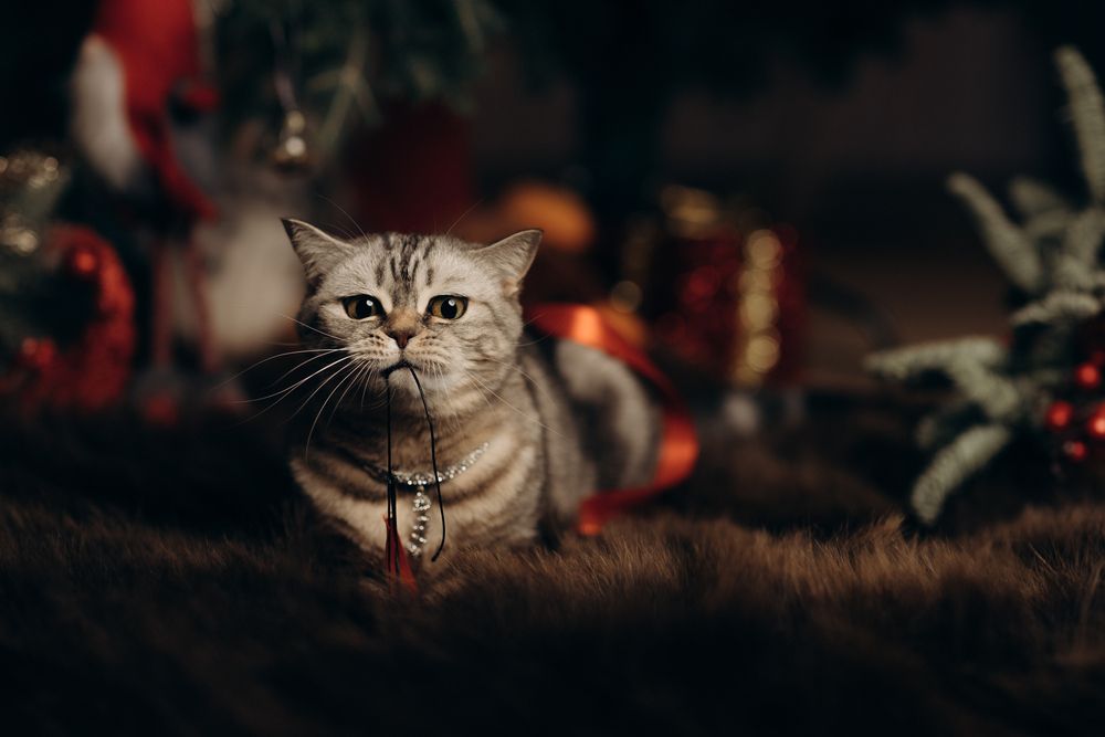 Photograph by Миля Сухарева