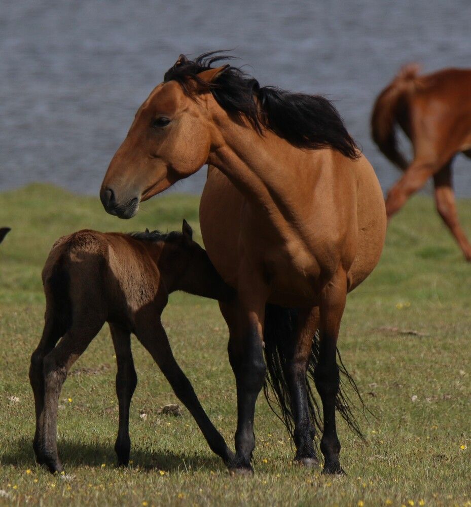 Photograph by Валентина Лопаткина