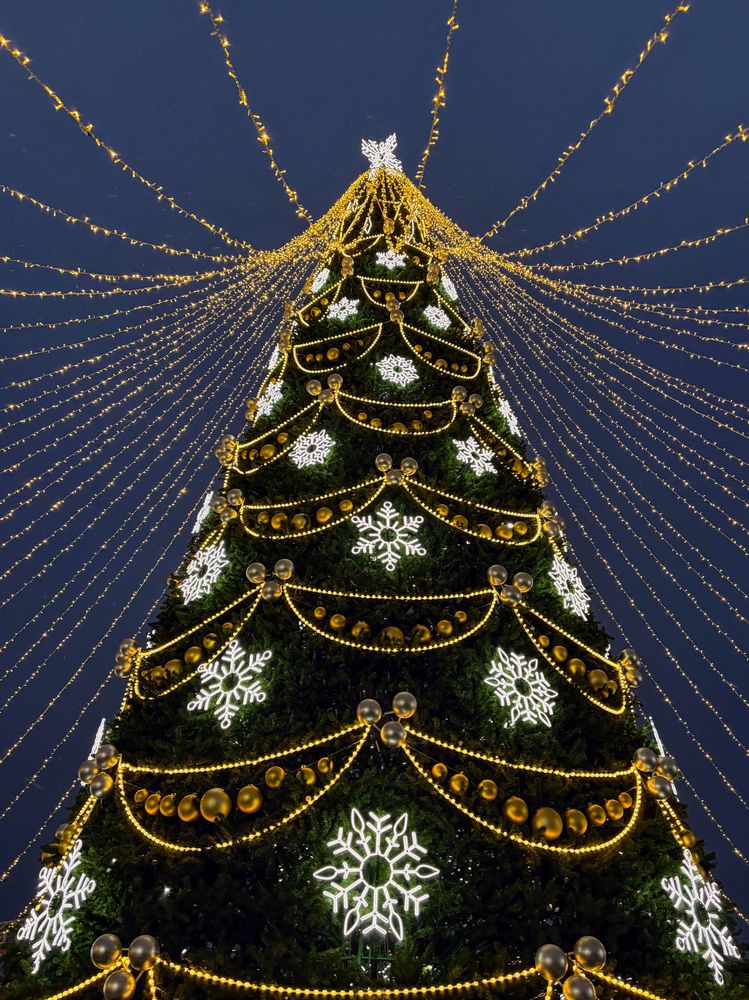 Фотография автора Даниил Барченко