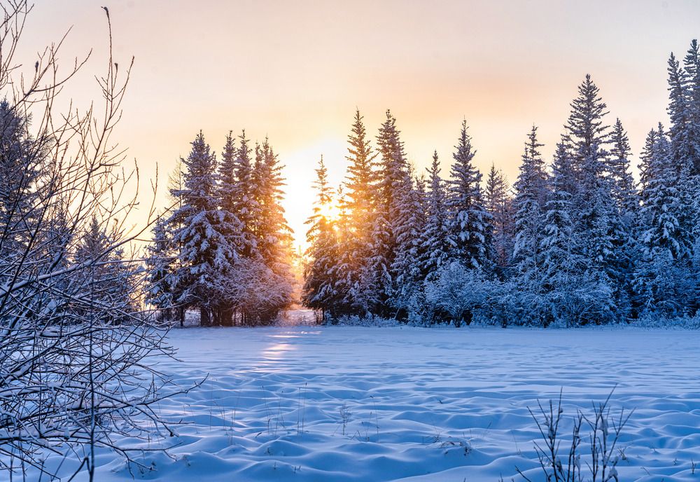 Photograph by Саргылана Прокопьева