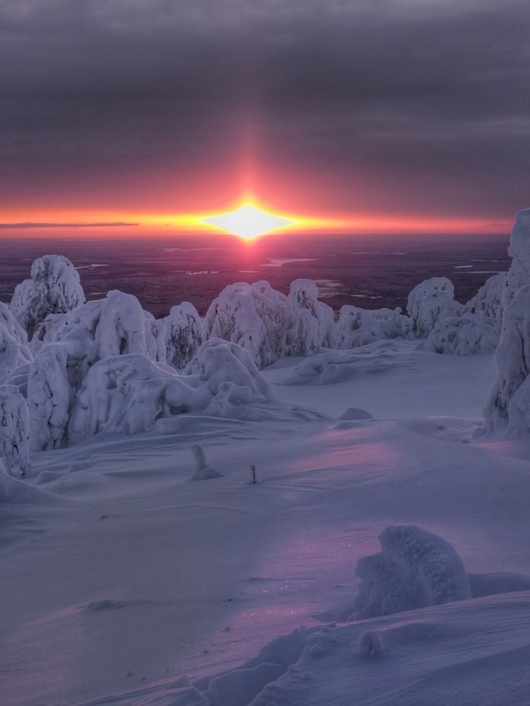 Фотография автора Анна Семенова