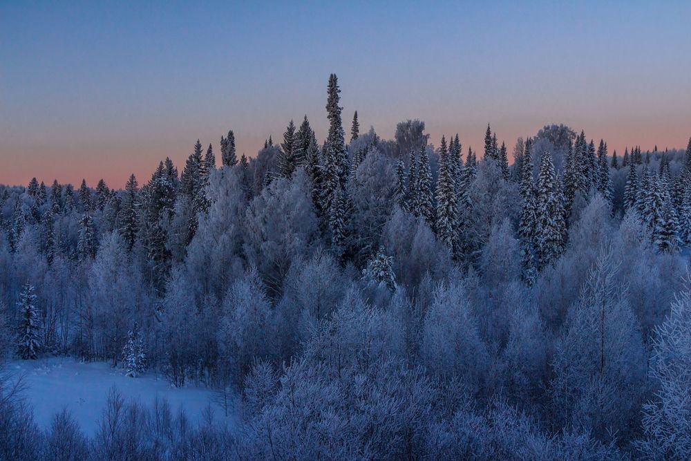 Фотография автора Галина Шепелева