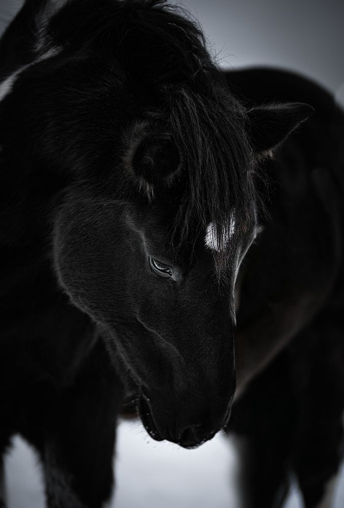 Photograph by Елена Алешечкина