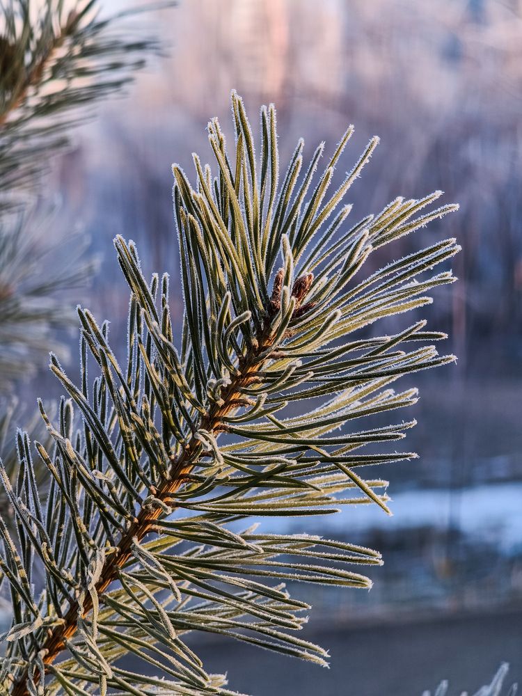 Photograph by Владимир Ли
