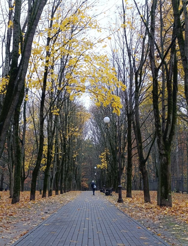 Photograph by Екатерина Супраненок