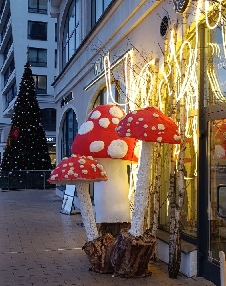 Photograph by Екатерина Супраненок