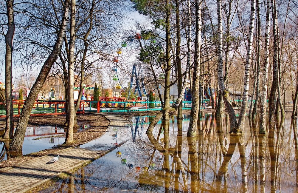 Фотография автора Панюшкин Владислав Владимирович