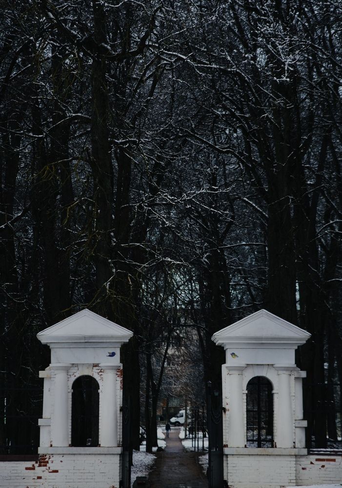 Фотография автора Галкина Екатерина