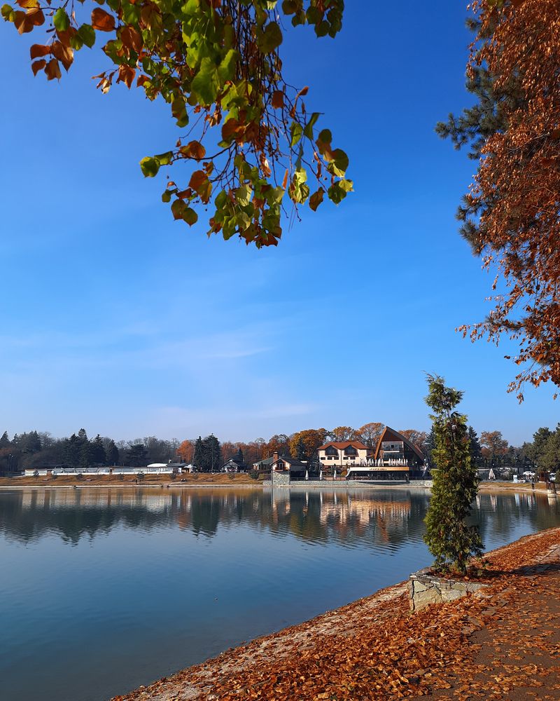 Фотография автора Александра Ельникова