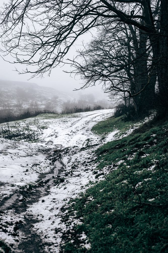Photograph by Evghenii Shamanio