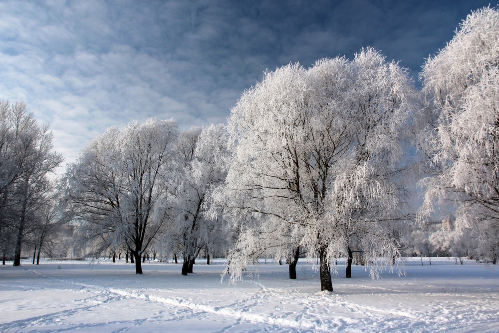 Зимний день