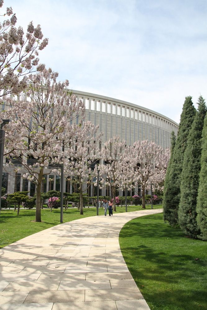 Photograph by Дмитрий Матвеев