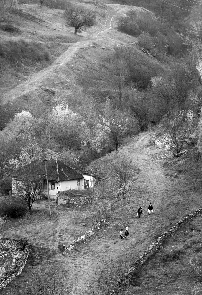 Photograph by Evghenii Shamanio