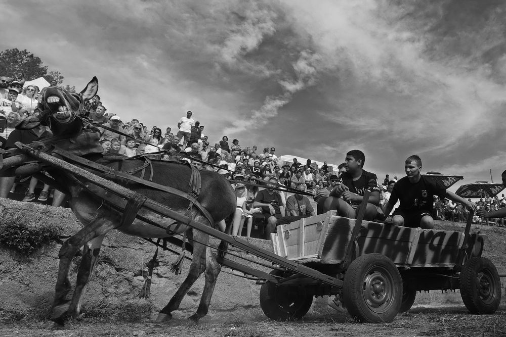 Photograph by Румен Сомов