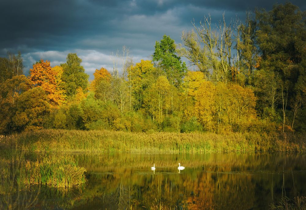 Фотография автора Lija Mežecka