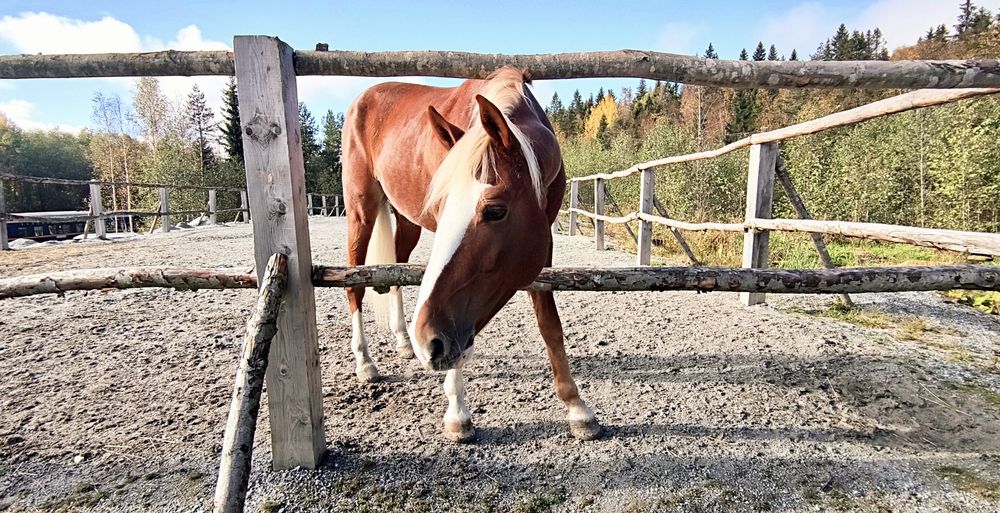 Фотография автора Ekaterina Sapezhinskaya