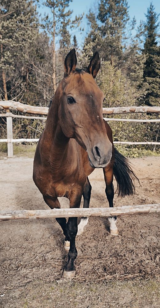 Фотография автора Ekaterina Sapezhinskaya