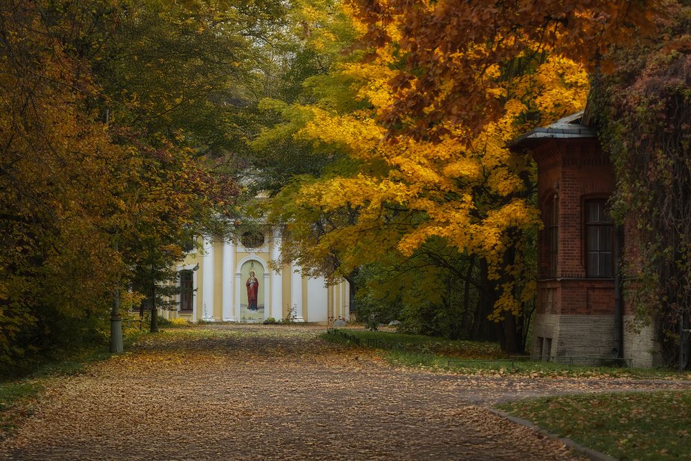 Photograph by Чернов Юрий