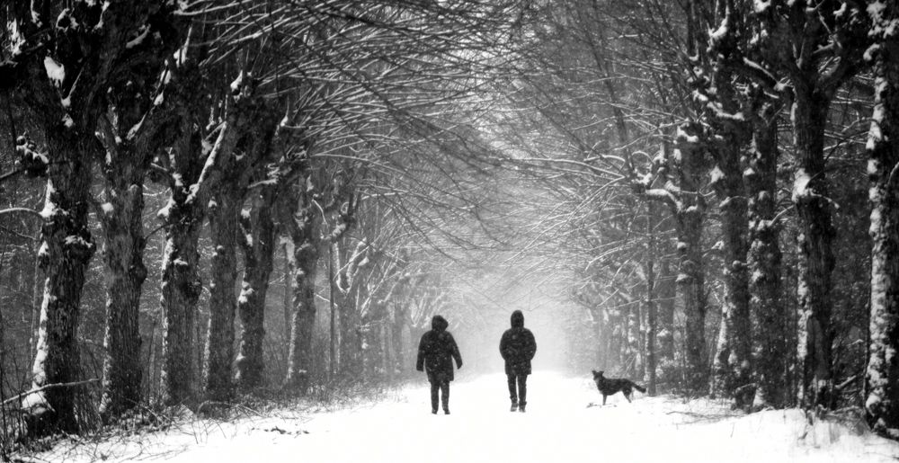 Photograph by Алексей Макаров