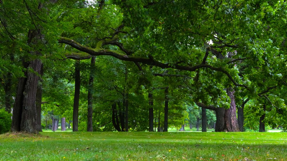 Photograph by Андрей Вешняков