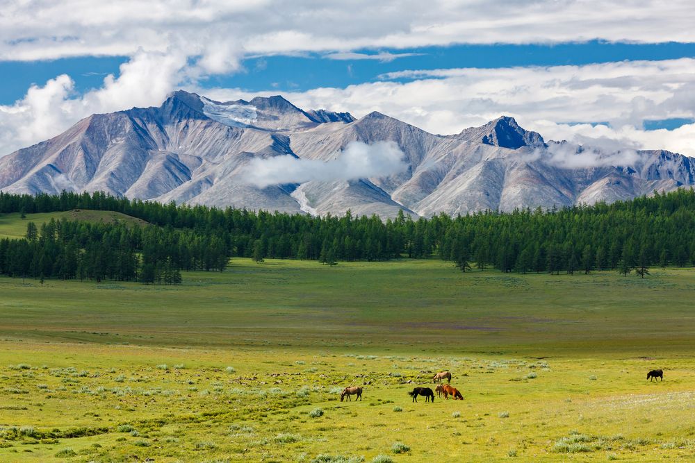 Photograph by Буянов Илья