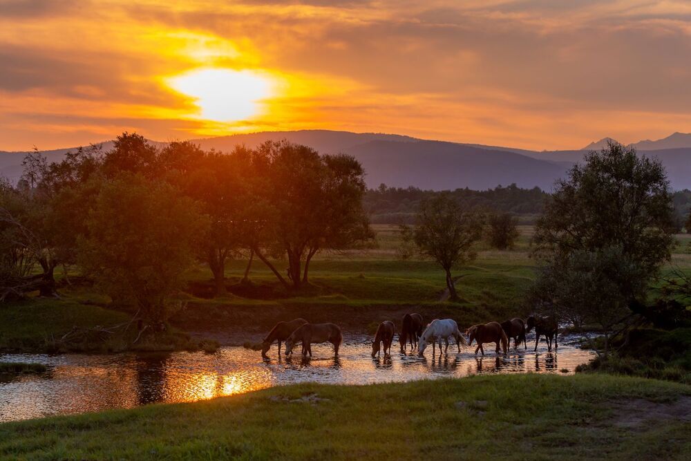 Photograph by Буянов Илья