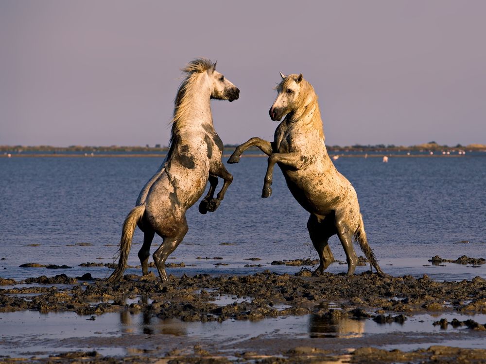 Фотография автора Александр Перов