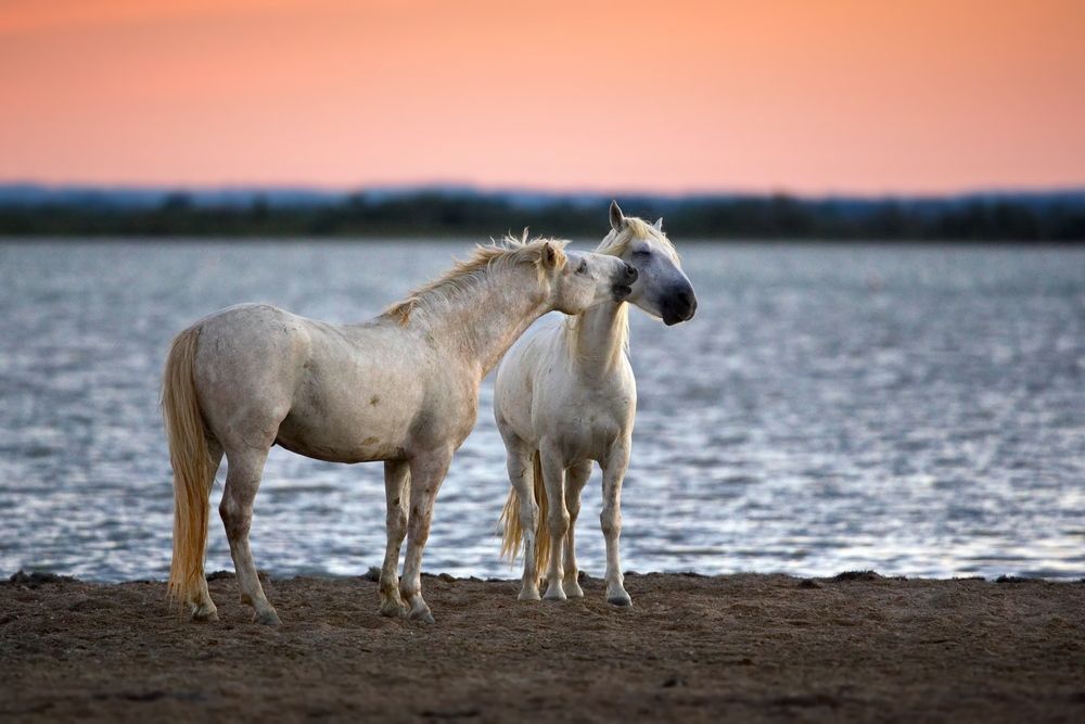 Фотография автора Александр Перов