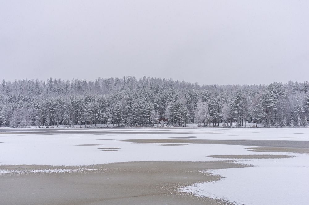 Photograph by Василий Богомолов