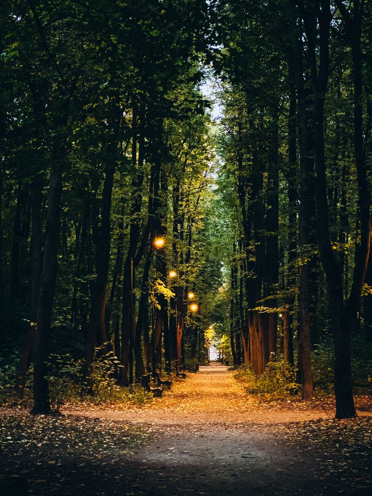 Фотография автора Марина Рябуха