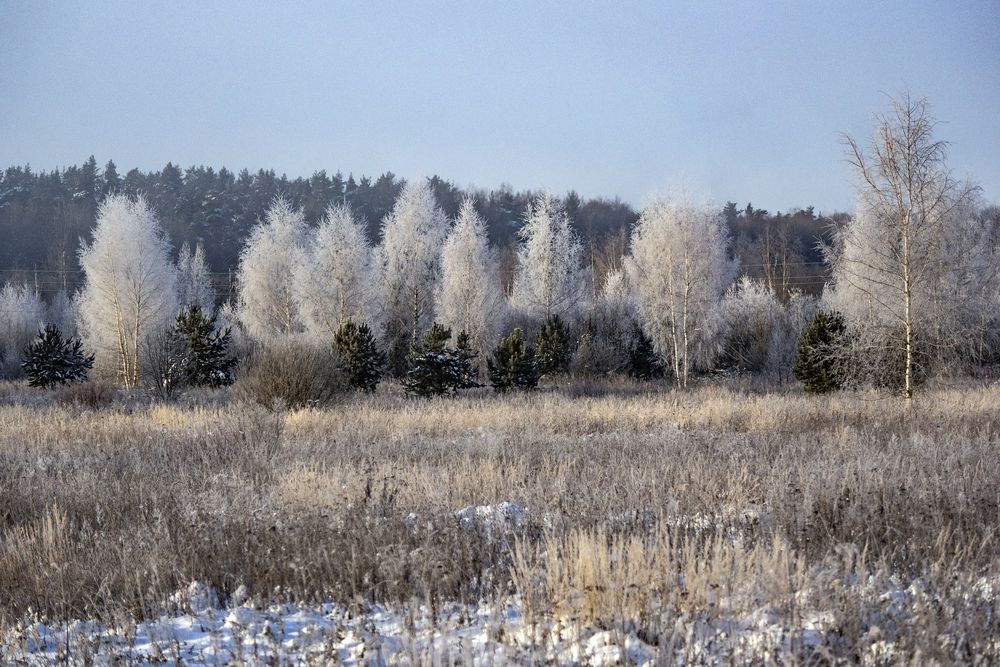 Photograph by Дмитрий Потапов