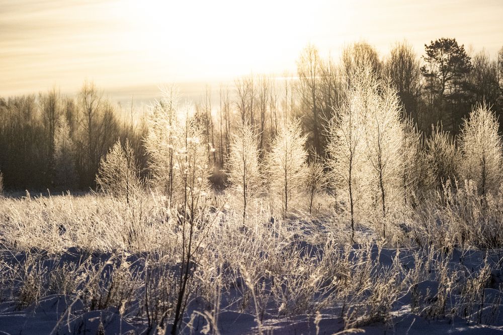 Photograph by Дмитрий Потапов