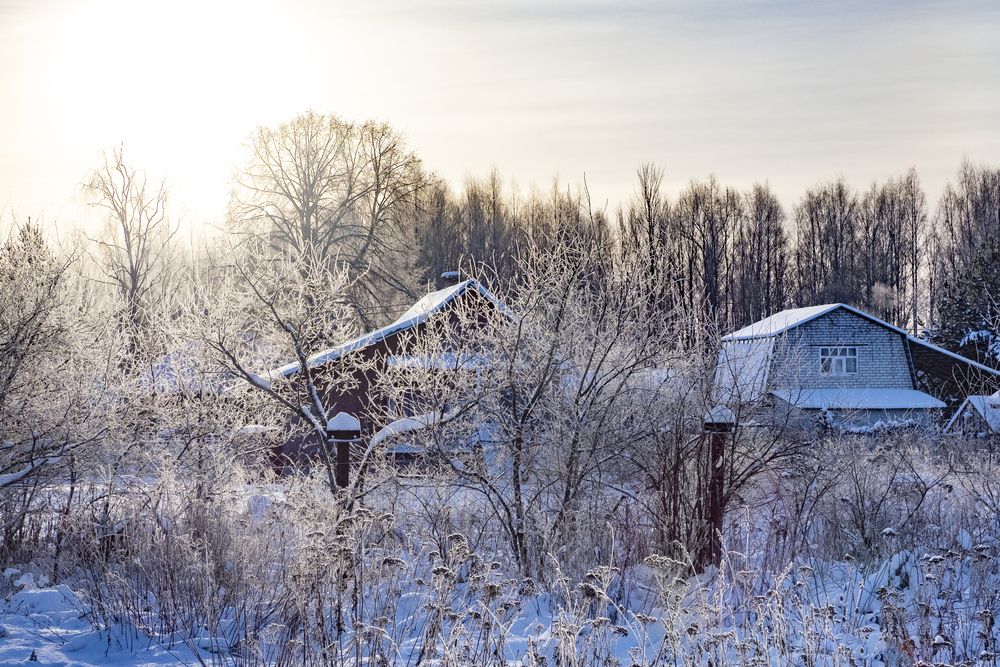 Photograph by Дмитрий Потапов