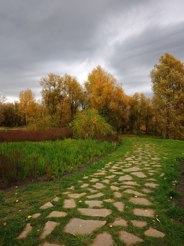 Фотография автора Максим Грибанов