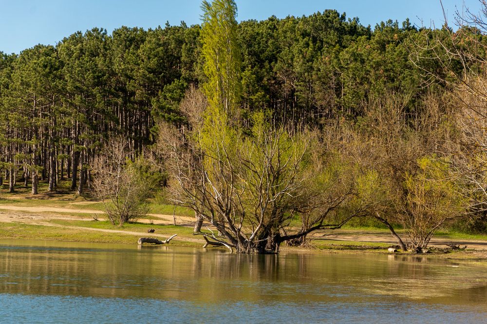 Фотография автора Екатерина Ефанова