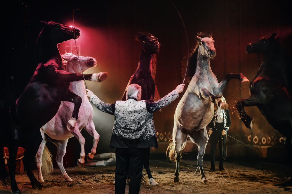 Фотография автора Алексей Сыркин